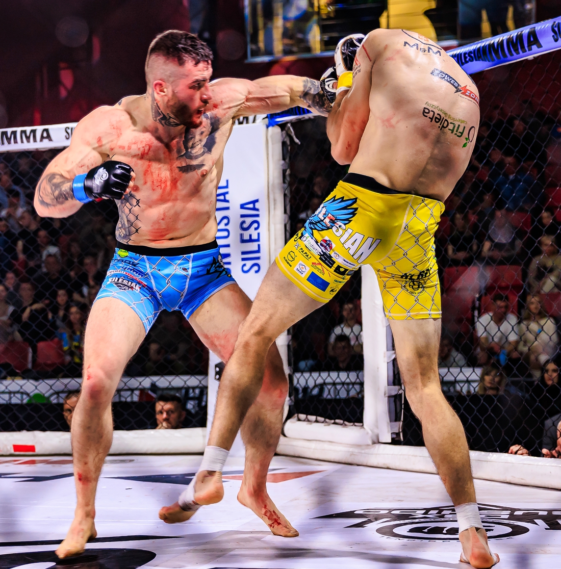 gala-mma1